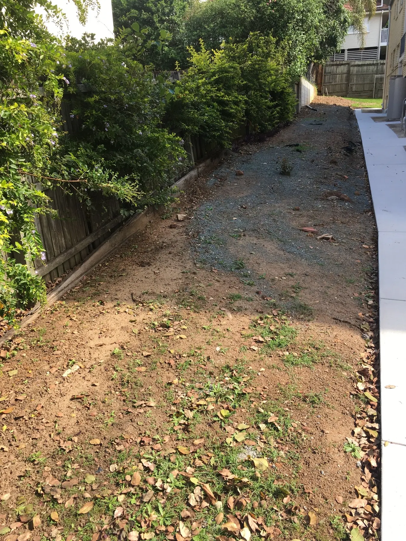 Old uneven apartment lawn before clearing and turf replacement
