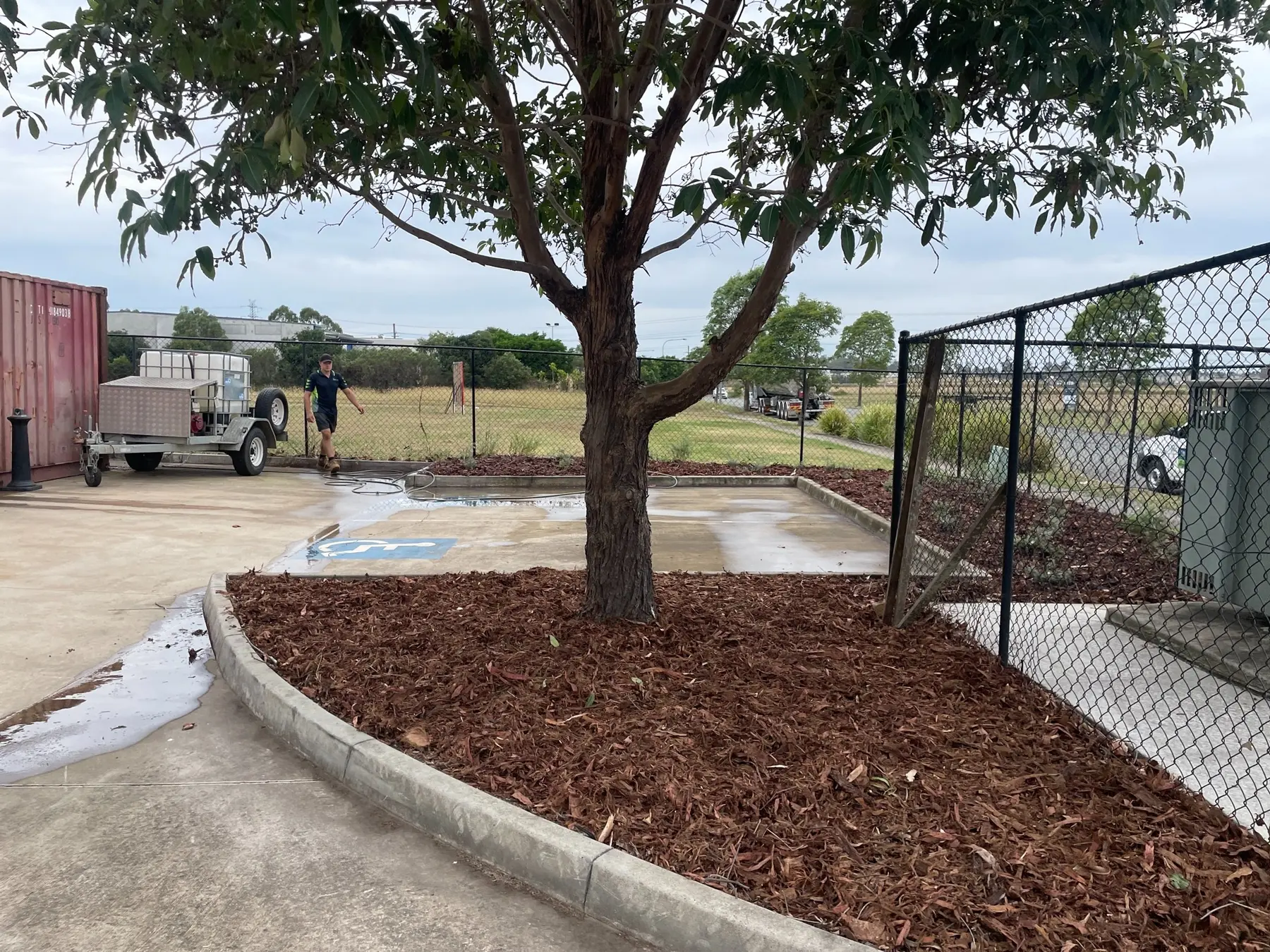 Medium hoop pine mulch installed in a large commercial garden bed