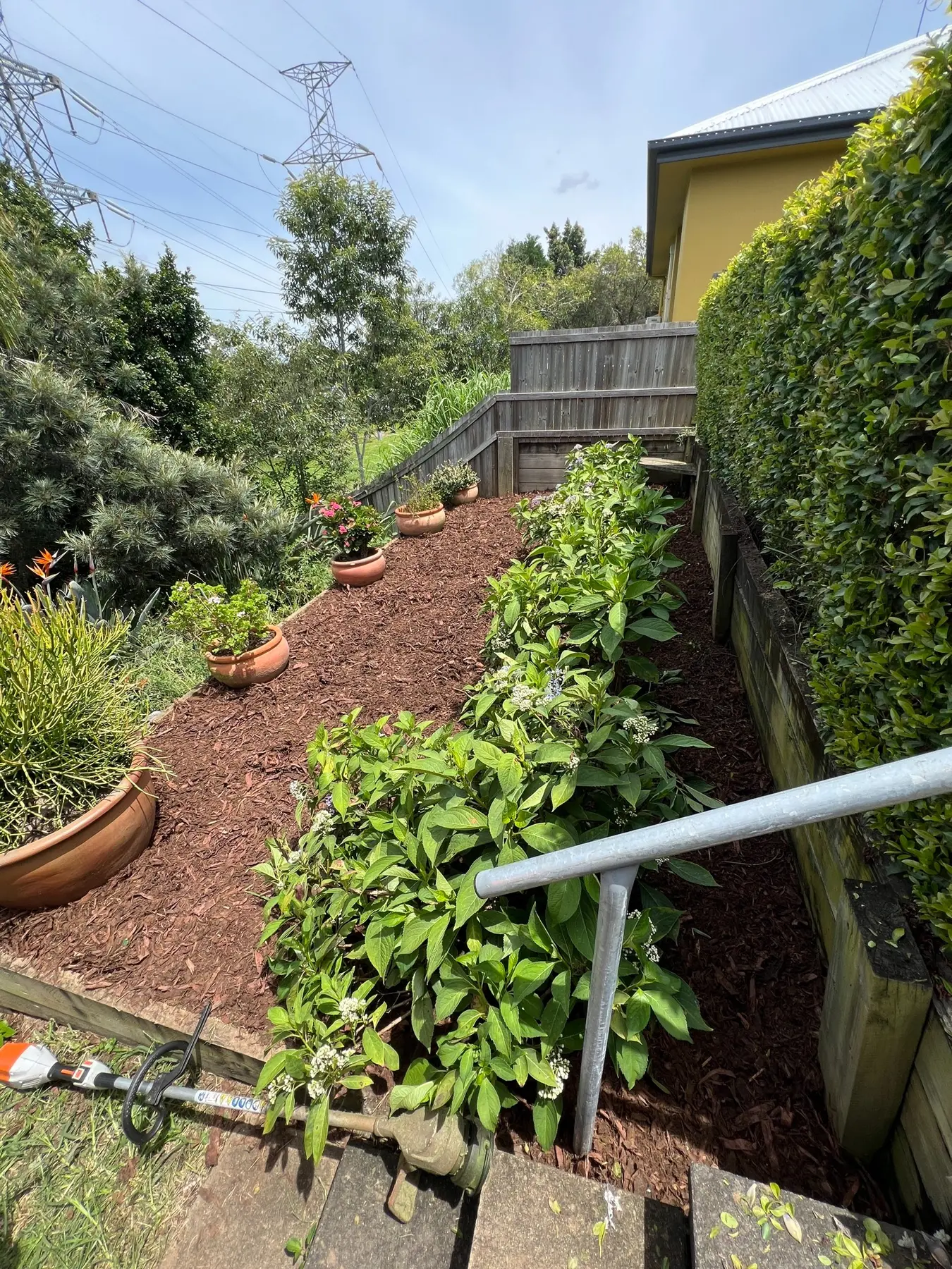 Garden bed after clean-up and installation of fresh cypress mulch