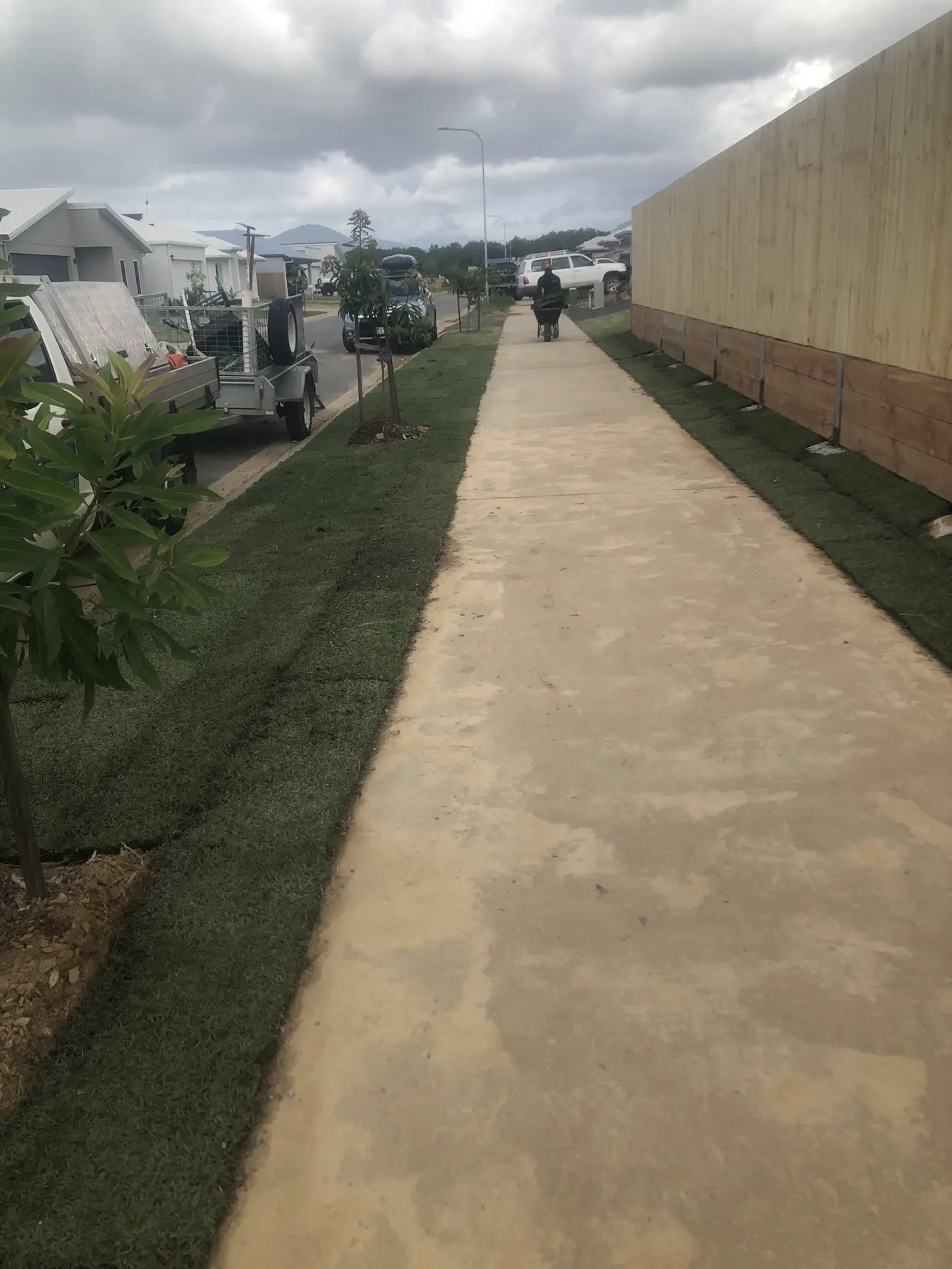 Platinum Zoysia laid neatly along both sides of a new footpath